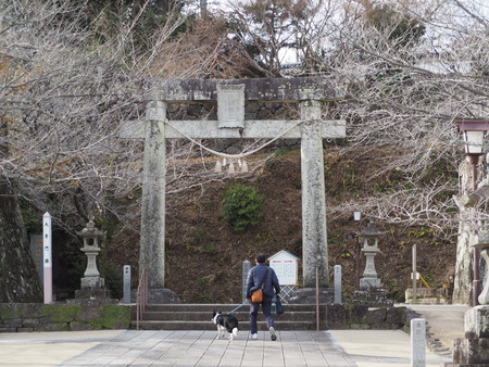 2023.03.05 大村市 梅ヶ枝荘P1012012