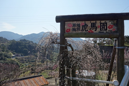 12-虎馬園DSC04918