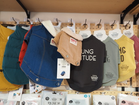 2021.09.25¡¡±ÀÀç»Ô¹ñ¸«Ä®¡¡rain P9160988