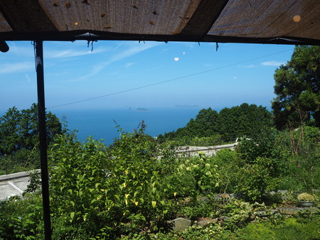 23-20-Ĺ��Բ�����Į�����ե���������å�P7284682