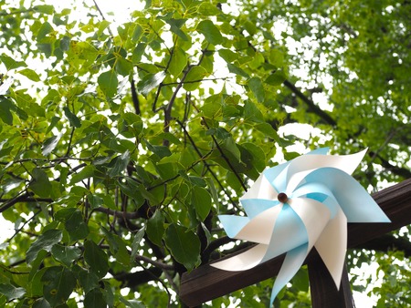 2025.08.09¡¡ëÝÁá¿À¼Ò¤ÎÉ÷¼ÖP8100323