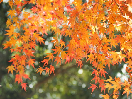 ����Թ���Į�����ή������PB261540