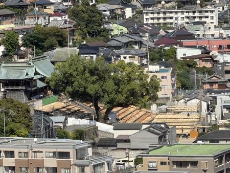 諏訪神社IMG_0156
