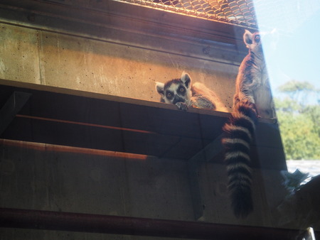 2021.11.14 �����ݻԡ��彽����ư��ʪ�ࡡ�������PB136484