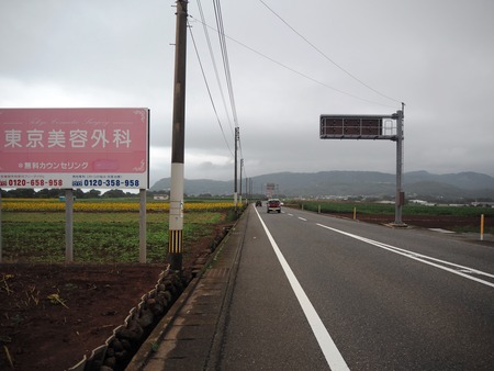7-愛野町 国道205号線沿いP7213981