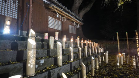 2024.12.31������Ը��Į���������_1735643447426_photo