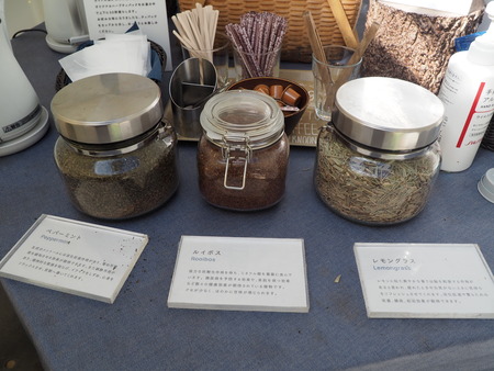 2023.06.12��Ĺ��԰˲��硡�����ե�P1019134