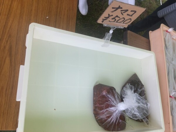 2024.04.27 �˲���ī��IMG_7099