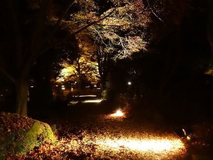 7-�������ڱ�DSC09632