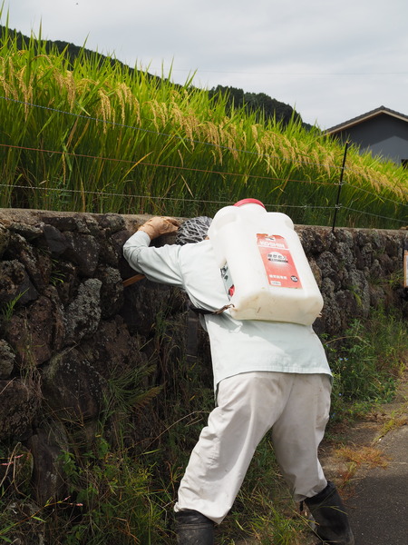 ȺĮêĤޤĤꭥP9241255