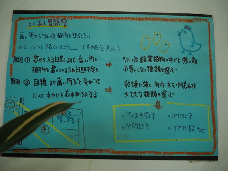 12-諫早市小野島町 干拓の里 じげもん市 松井商店P9078175