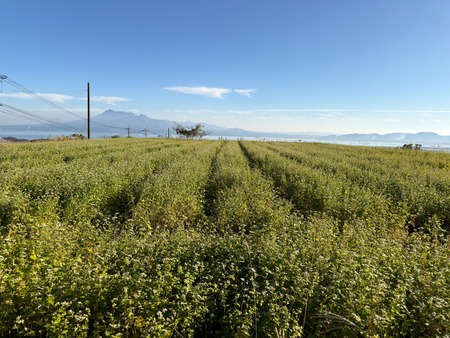 ����Թ���Į�����ι��褽�С������β�IMG_3663