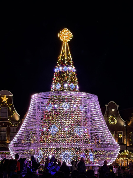 �ϥ����ƥ�ܥ�����Υ��硼IMG_2460