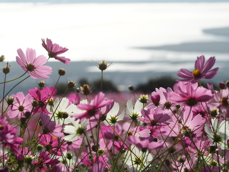 2023.10.13�����ᡡ�������⸶PA131419