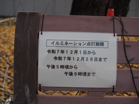 諫早市飯盛町 飯盛ふれあい会館の銀杏の木PC021417