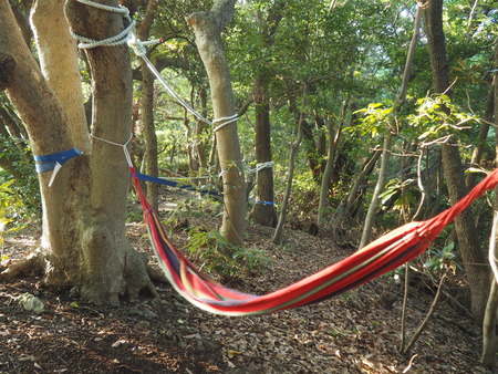 2023.07.11 Ĺºê»ÔÌîÊìºê¡¡ÌîÊì¤ó¤ÁP1019362