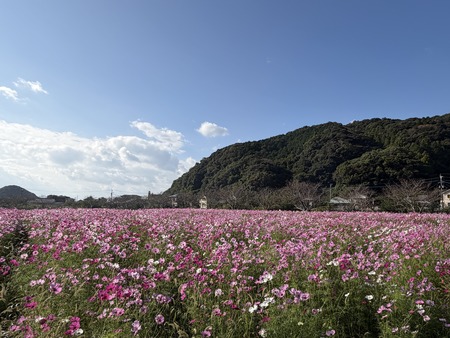 ����Į�ķ�Υ����⥹ȪIMG_1383