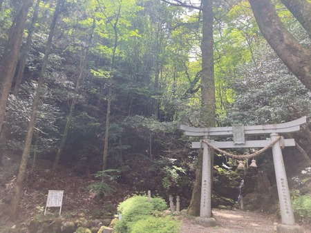 2025.07.19�����ὤ¿��ο����������IMG_1398