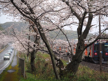 9-�����¿�ɸ�Į������Х���κ�����P3203913