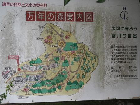 2022.07.26 諫早市 富川渓谷バンガローP7172711