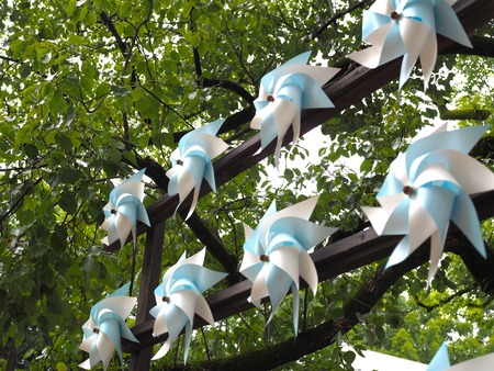 2025.08.09¡¡ëÝÁá¿À¼Ò¤ÎÉ÷¼ÖPP8100297