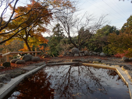 3-DSC05412