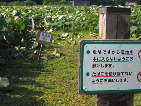 2025.07.22¡¡ëÝÁá»Ô¡¡ÅâÈæ¥Ï¥¹±à¡¡ÁÐÆ¬Ï¡P7230105