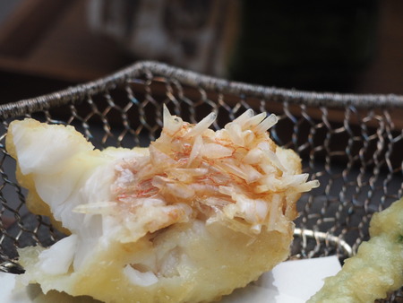 2023.04.24 ����������Į��Ketch�����å�P1015891