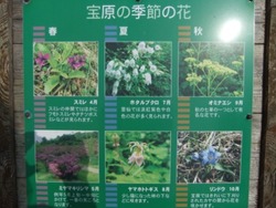 ho-2DSCF1821