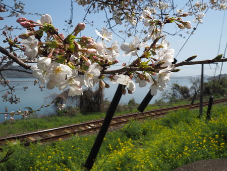 2024.03.30 多良見古川バス停P3290026