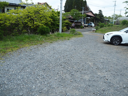9-諫早市福田町 梅蓮P4190513