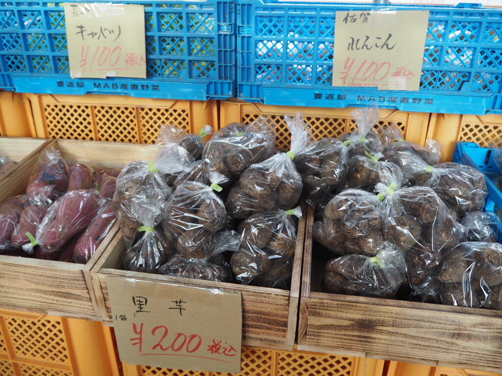 オープン を含む記事 長崎 諫早市民 ふくちゃんの食う 寝る 遊ぶ日記