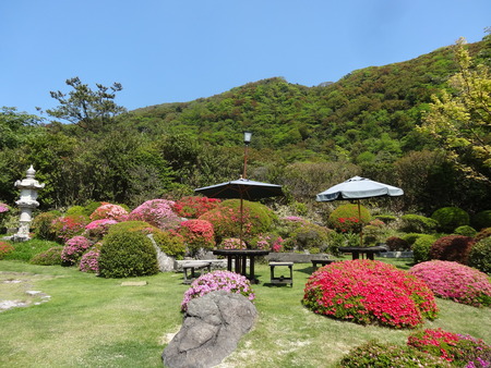 26-DSC01741