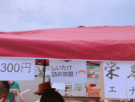 2023.06.18 �����ޥ륷��IMG_1997