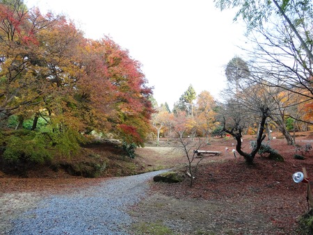 18-DSC05477