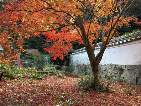 ����ԡ�ŷʹ��IMG_6545 - ���ԡ�_cleanup