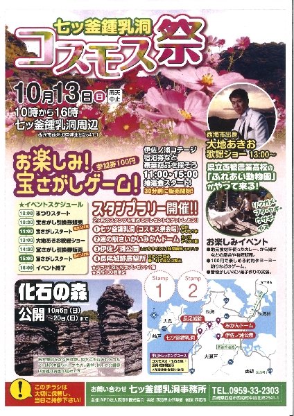 コスモス祭り