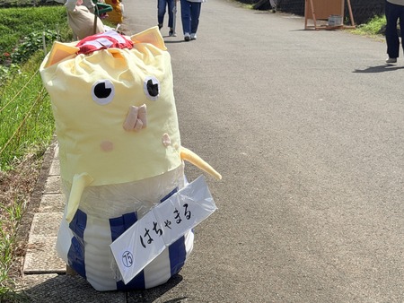 はちゃまる��IMG_8515