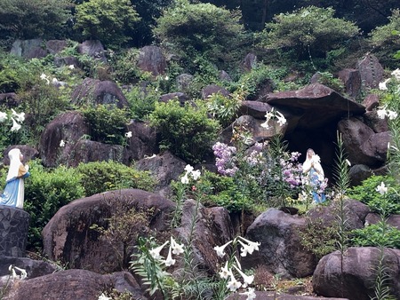 2023.08.29 ����Ծ�Ĺ��Į���ߤ������α���ɤ���IMG_7383