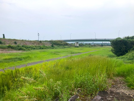 島原 われん川の彼岸花IMG_7804