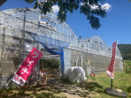 ���츩��Į���ߥ��ե����भ��� �饤��Ŧ�߼���IMG_8371