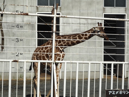 2021.11.14 �����ݻԡ��彽����ư��ʪ�ࡡ�������PB136662