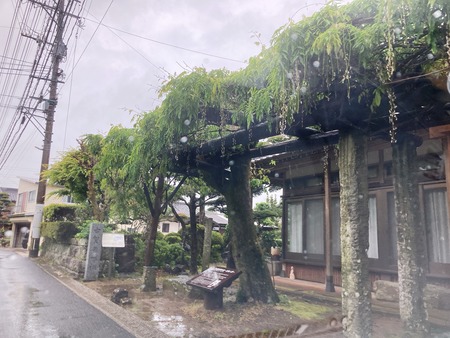 2021.04.30 ��̳�����ѡ�Ĺ��¿�ɸ�ŹIMG_3229