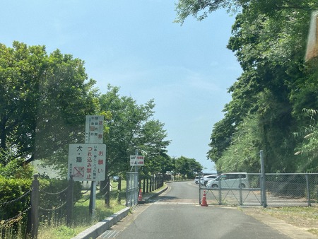 2022.06.05 ëÝÁá»ÔÈÓÀ¹Ä®¡¡·ë¤ÎÉÍ¥Þ¥ê¥ó¥Ñ¡¼¥¯IMG_8143