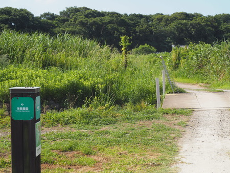 2025.07.22¡¡ëÝÁá»Ô¡¡ÅâÈæ¥Ï¥¹±à¡¡P7230175