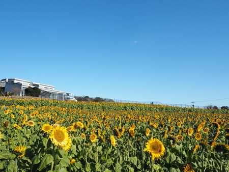 1-のんのこ温泉センターPC190303