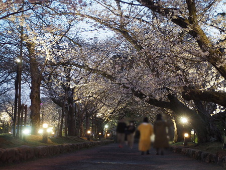 大村公園_1679831713(1)