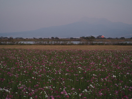 2022.10.15 ëÝÁá»Ô¹âÍè¡¡´³Î¦ÃÏ¥Õ¥é¥ï¡¼¥¾¡¼¥óPA151396