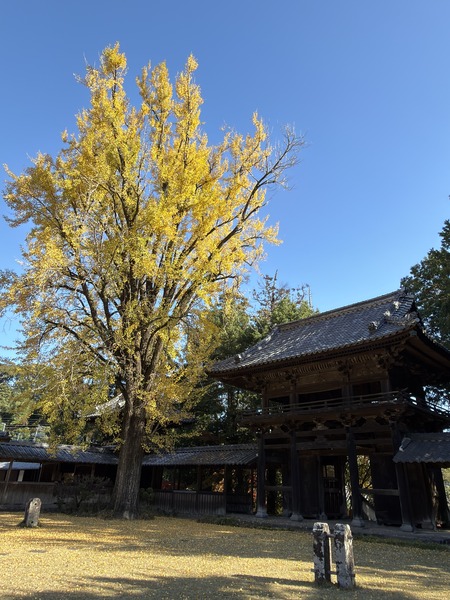 ����ԡ�ŷʹ��IMG_6421