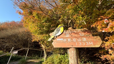 ��̯���ٻ�ĺIMG_2991